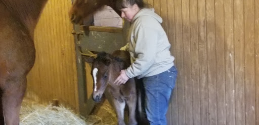 Car Dealer «Best Chrysler Dodge Jeep Ram», reviews and photos, 520 Colony Pl, Plymouth, MA 02360, USA