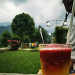 Photo n°1 de l'avis de lidia.a fait le 24/05/2022 à 17:35 sur le  Orchidee del Lario à Gravedona ed Uniti