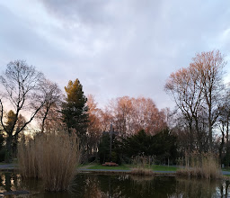 Friedhof an der Kirche photo