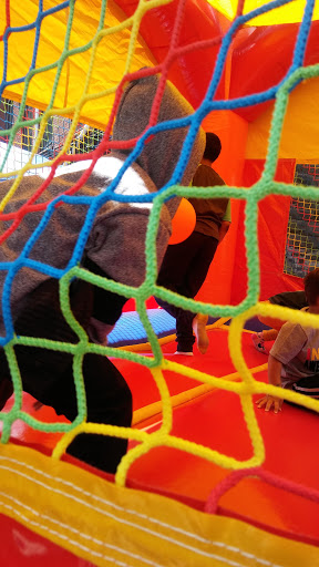 Lounge «CARAL Lounge», reviews and photos, 1429 Park St, Hartford, CT 06106, USA