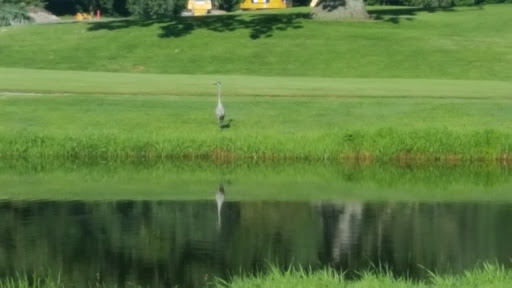 Golf Course «Brookfield Hills Golf Course», reviews and photos, 16075 Pinehurst Dr, Brookfield, WI 53005, USA