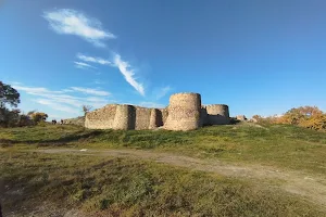 Rustavi Fortress image