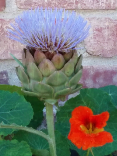 Jewelry Store «Turquoise Shop», reviews and photos, 37357 Niles Blvd, Fremont, CA 94536, USA