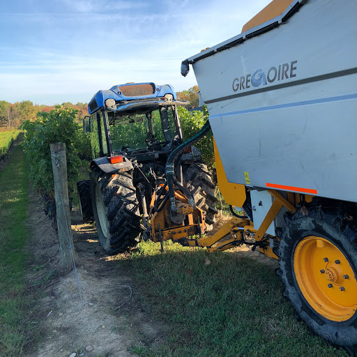 Winery «M Cellars», reviews and photos, 6193 S River Rd W, Geneva, OH 44041, USA