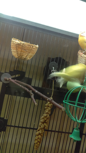 Pet Supply Store «PetSmart», reviews and photos, 10460 Town Center Dr, Westminster, CO 80021, USA