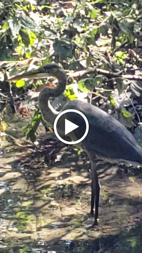 Golf Club «Leewood Golf Club», reviews and photos, 1 Leewood Dr, Eastchester, NY 10709, USA