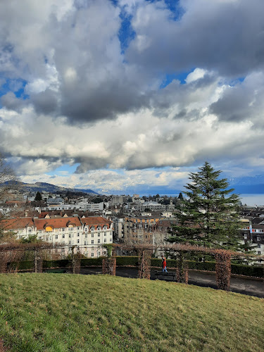 Colline de Montriond - Lausanne