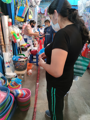 Mercado Modelo de Carmen Alto