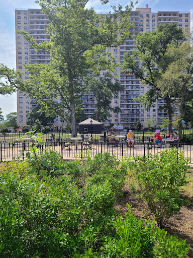 Park «Asser Levy Park», reviews and photos, 302 Sea Breeze Ave, Brooklyn, NY 11224, USA