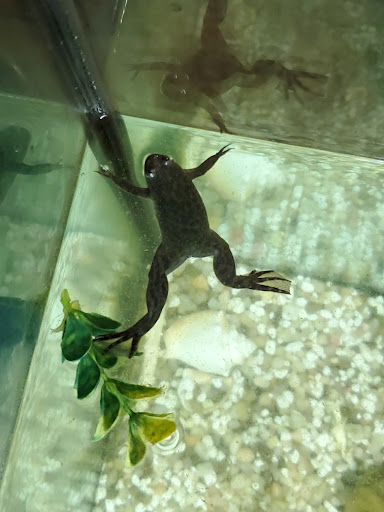 Pet Store «Pet Zone», reviews and photos, 1620 Marion-Mt Gilead Rd, Marion, OH 43302, USA