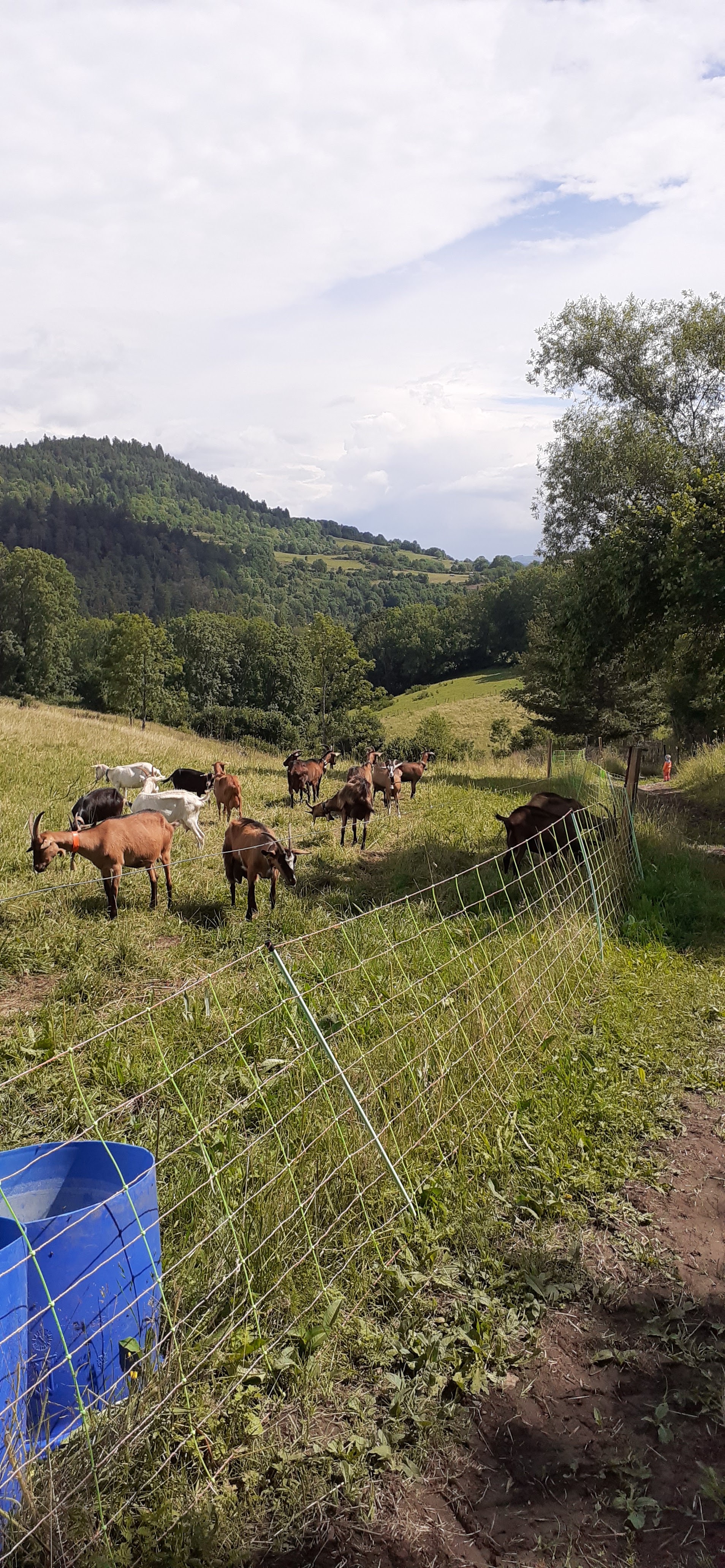 Photo n° 4 de l'avis de k. fait le 13/07/2021 à 17:11