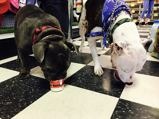 Pet Store «The Pet Place», reviews and photos, 240 Shadowline Dr, Boone, NC 28607, USA