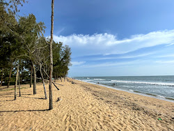 Kuzhuppilly Beach'in fotoğrafı biraz temiz temizlik seviyesi ile
