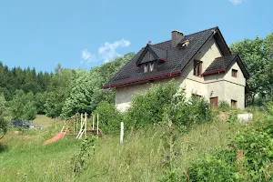 House on the Hill in Międzygórze image