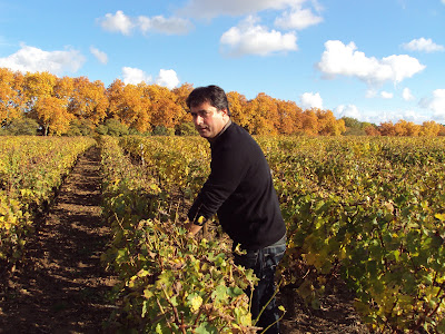 Domaine Figeat André et Edmond à Pouilly-sur-Loire
