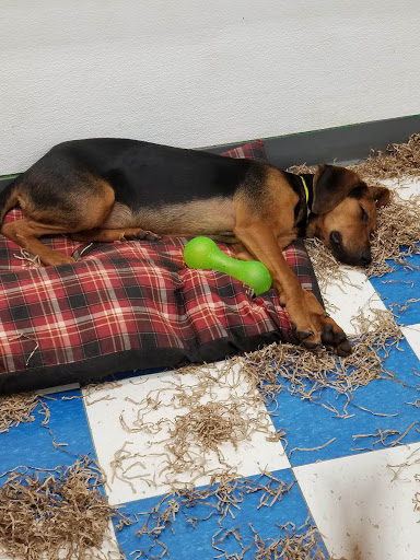 Pet Supply Store «Pets Plus - Bensalem», reviews and photos, 1336 Bristol Pike, Bensalem, PA 19020, USA