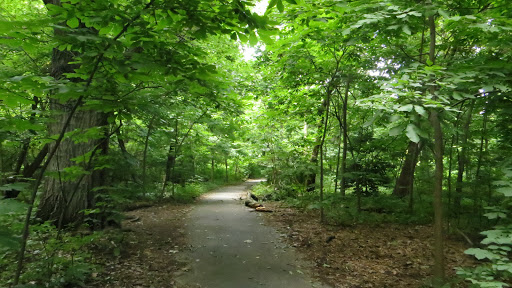 Movie Theater «AMC Loews Lincoln Square 13», reviews and photos, 1998 Broadway, New York, NY 10023, USA