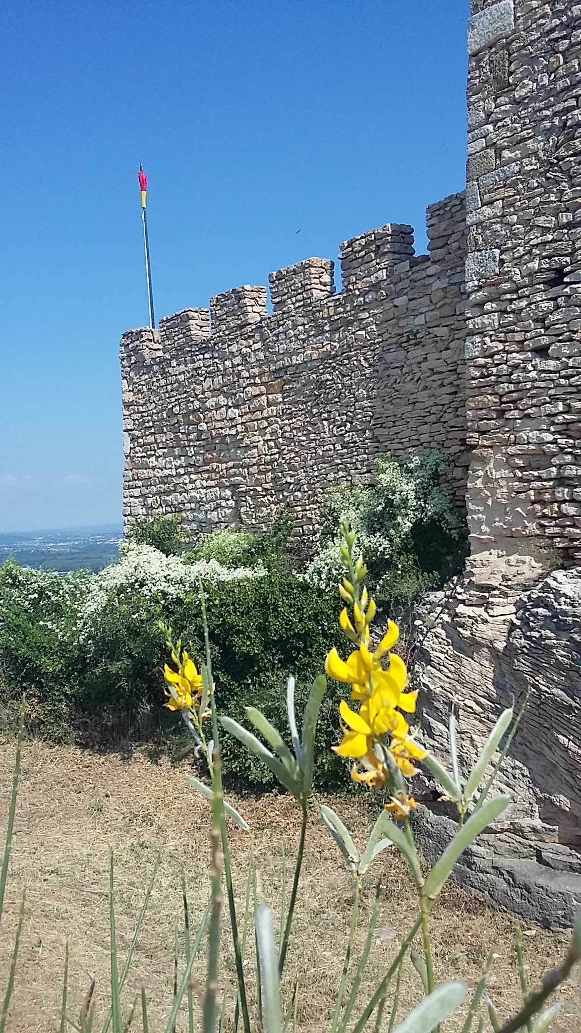 Photo n° 3 de l'avis de Nat.e fait le 05/07/2018 à 06:01