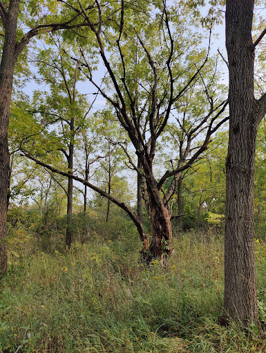 Nature Preserve «Volo Bog», reviews and photos, 28478 W Brandenburg Rd, Ingleside, IL 60041, USA