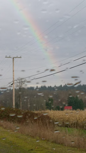 Coffee Shop «Nisqually Express Espresso & Tobacco», reviews and photos, 10324 Martin Way E, Olympia, WA 98516, USA