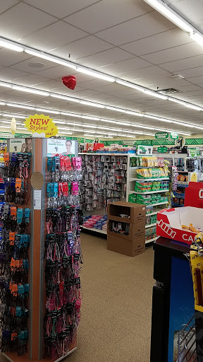 Dollar Store «Dollar Tree», reviews and photos, 2654 Belvidere Rd, Waukegan, IL 60085, USA