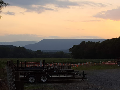 Motorcycle Dealer «Tri-County Honda-Yamaha», reviews and photos