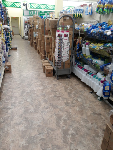 Dollar Store «Dollar Tree», reviews and photos, 7001 Cermak Rd, Berwyn, IL 60402, USA