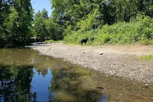 Dallas City Park image