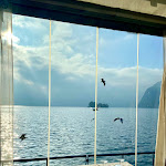 Photo n°3 de l'avis de Francesca.o fait le 07/01/2023 à 20:33 sur le  Bar La Spiaggetta di Dalmeri Elena à Monte Isola