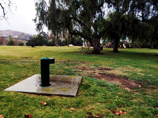 Sycamore Park Drinking Fountain