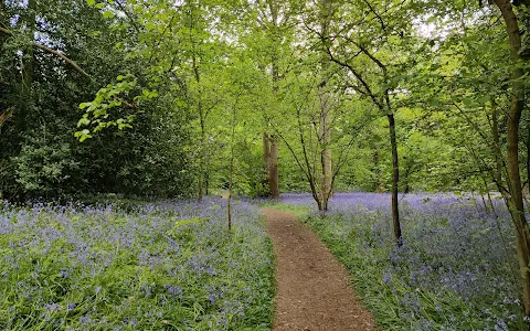 Tocil Wood and Nature Reserve image