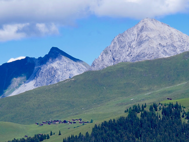 Kommentare und Rezensionen über Arosa, Maran