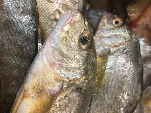 Seafood Market «Seven Seas Seafood Market», reviews and photos, 3476 US-17 BUS, Murrells Inlet, SC 29576, USA