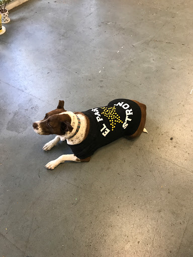 Custom T-shirt Store «Proper Printshop», reviews and photos, 800 Montana Ave, El Paso, TX 79902, USA