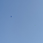 Photo n° 2 de l'avis de Séverine.A fait le 26/03/2022 à 12:20 pour Ecole Régionale Parachutisme - Skydive Maubeuge à Vieux-Reng