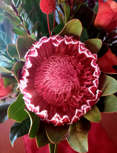 Florist «Westerville Florist», reviews and photos, 14 S State St, Westerville, OH 43081, USA