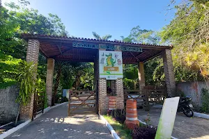 Parque Municipal de Maceió image