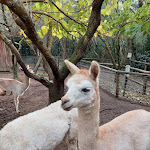 Photo n°7 de l'avis de Taras. fait le 26/12/2023 à 23:02 sur le  Parc Gallorose à Loc. Cedrino