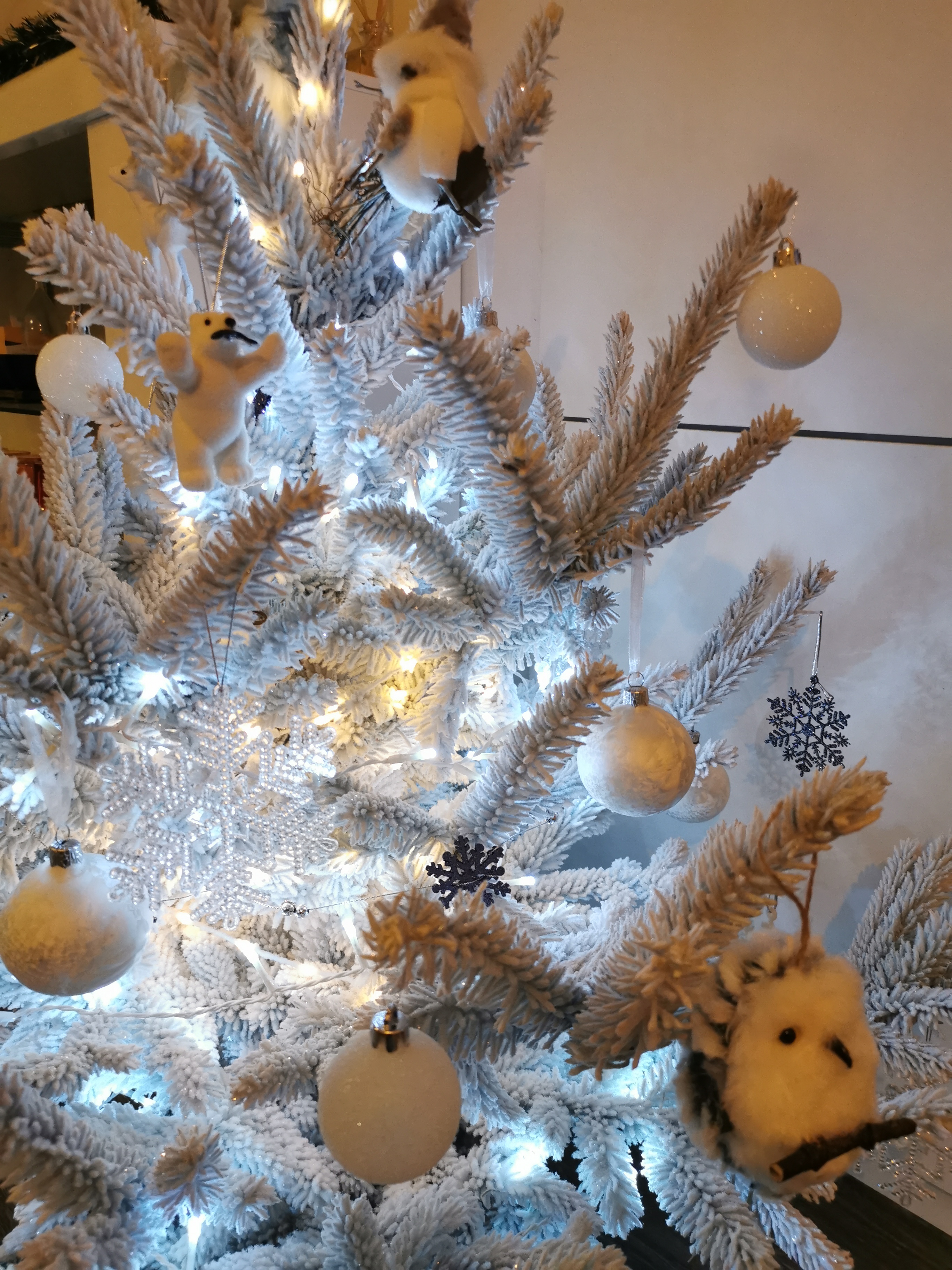 Photo n° 3 de l'avis de Sébastien. fait le 09/12/2019 à 21:15