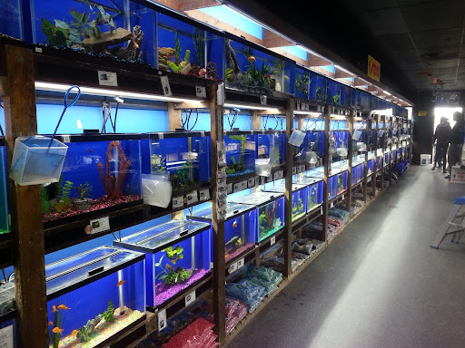 Pet Store «Laconia Pet Center», reviews and photos, 1343 Union Ave, Laconia, NH 03246, USA