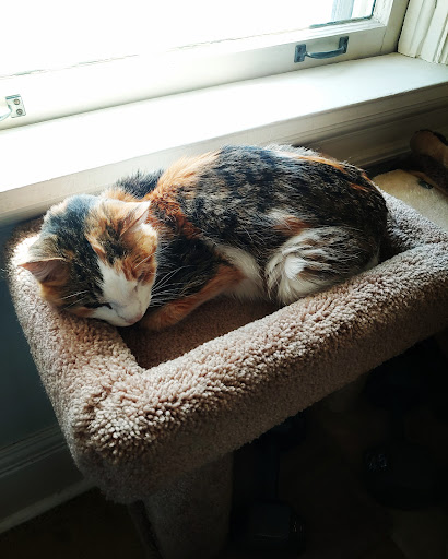 1365 Gortner Ave, St Paul, MN 55108, USA