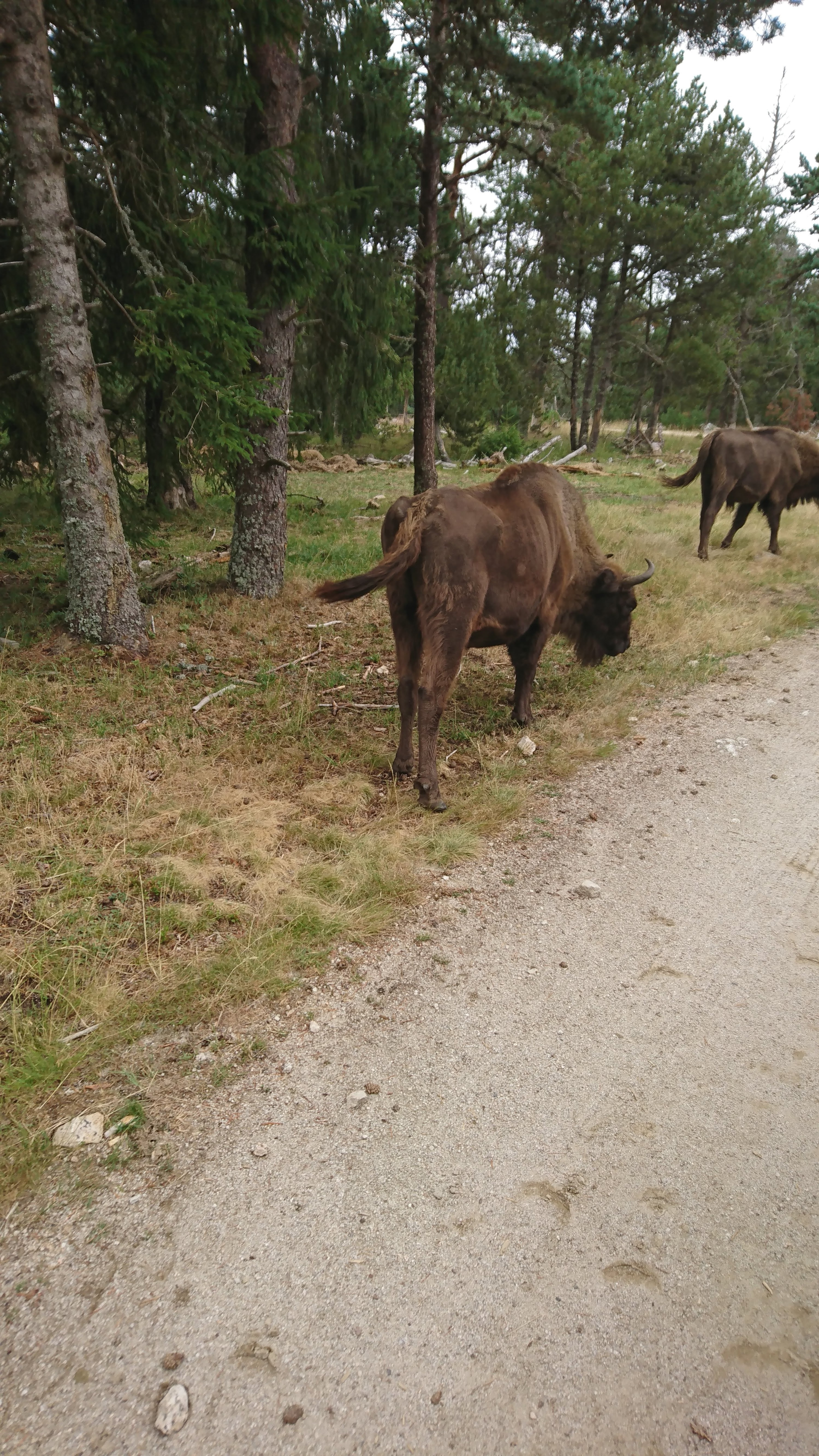 Photo n° 9 de l'avis de Bernard.l fait le 16/08/2019 à 10:01