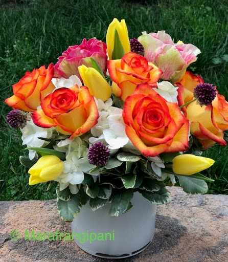 Florist «Frangipani Flowers & Gifts», reviews and photos, 1203 4th St, San Rafael, CA 94901, USA