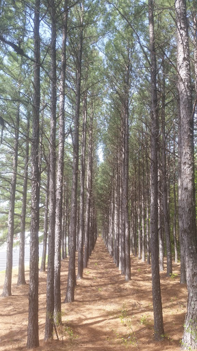 Shipping and Mailing Service «FedEx Ship Center», reviews and photos, 4400 International Pkwy, Atlanta, GA 30354, USA