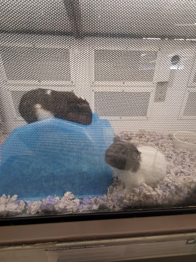 Pet Supply Store «Petco Animal Supplies», reviews and photos, 1275 W Patrick St, Frederick, MD 21702, USA