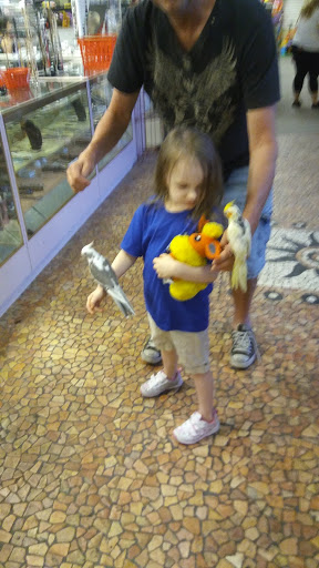 Thrift Store «SPCA Thrift Shop», reviews and photos, 4220 S Washington Ave, Titusville, FL 32780, USA