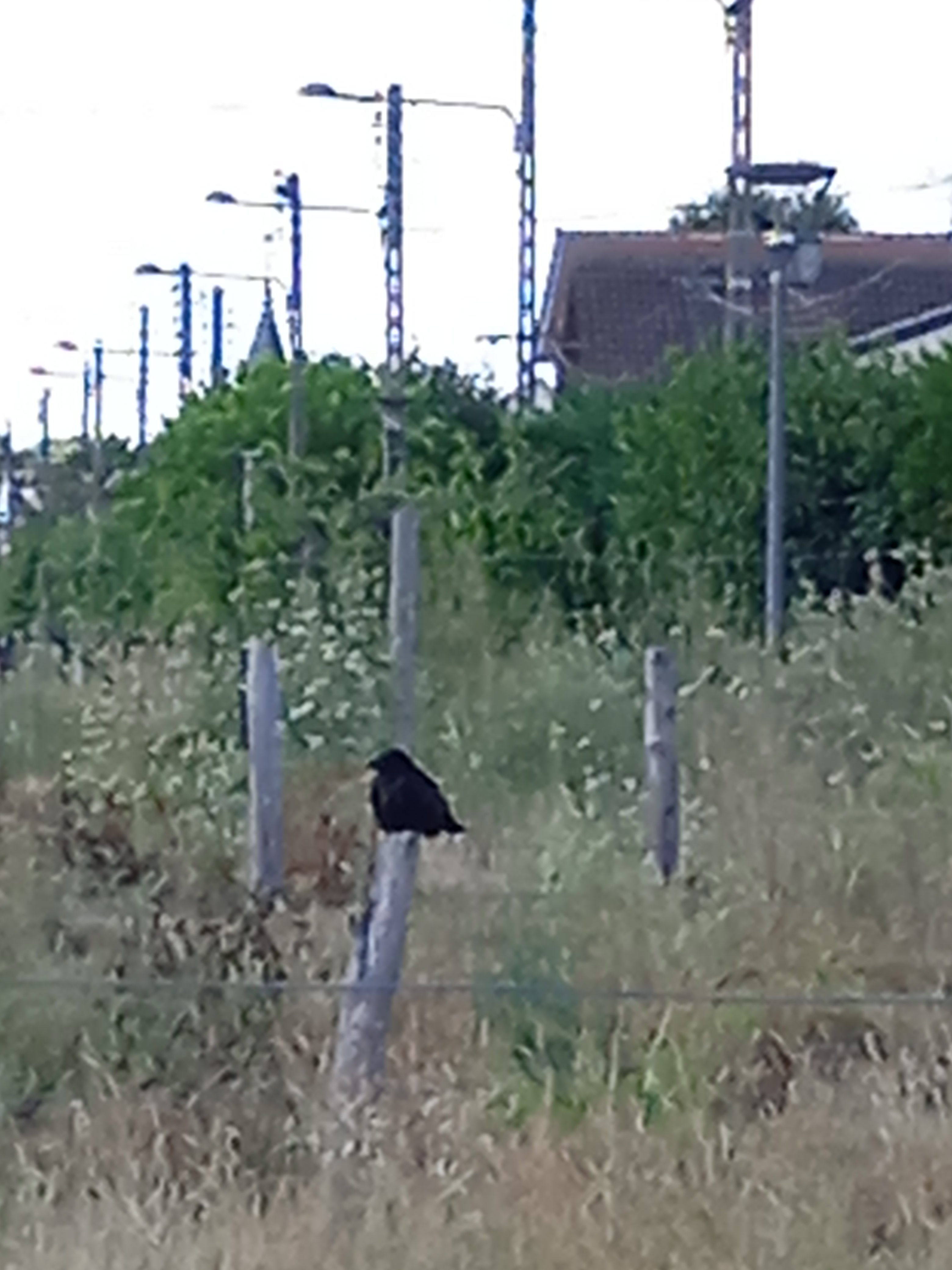 Photo n° 4 de l'avis de Tourn.a fait le 23/08/2022 à 20:34