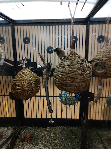 Pet Supply Store «PetSmart», reviews and photos, 467 Cross Keys Rd, Sicklerville, NJ 08081, USA