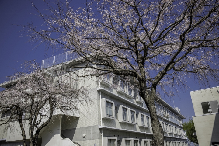 桜が丘病院