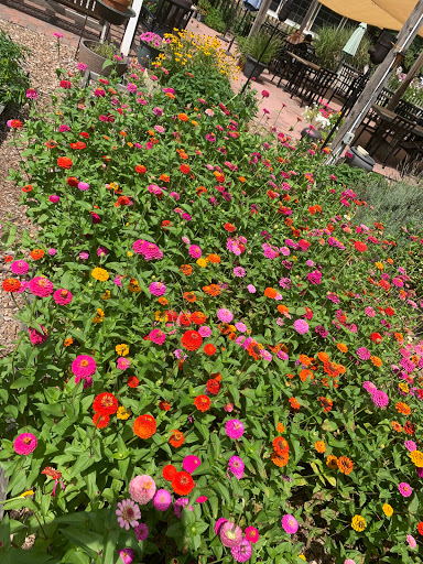 Grocery Store «Good Earth Market & Organic Farm», reviews and photos, 31806 Good Earth Ln, Ocean View, DE 19970, USA